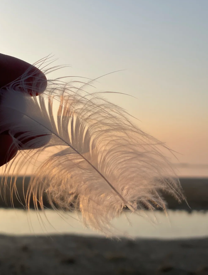 羽絨服廣告創意 - 參考圖 1