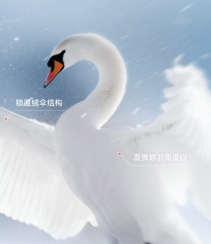 羽絨服廣告創意 - 參考圖 2